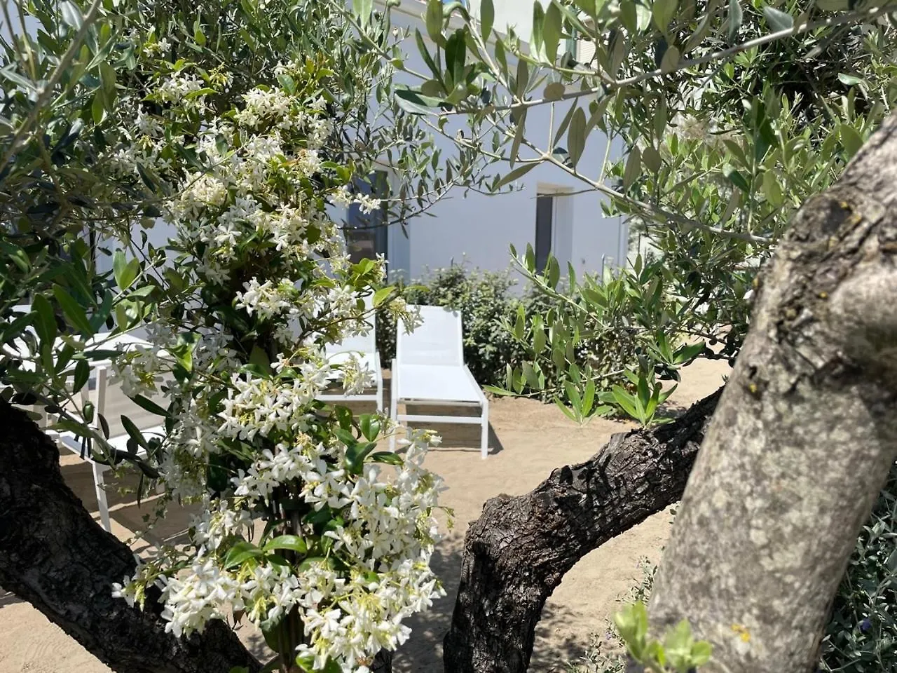 Villa Le Agavi Luxory Beach Surfhouse Bellaria-Igea Marina
